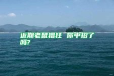 近期老鼠猖狂 你中招了吗?