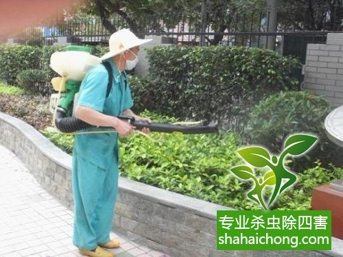 防治白蚁,白蚁防治方法 白蚁怎么治,怎么防治白蚁方法